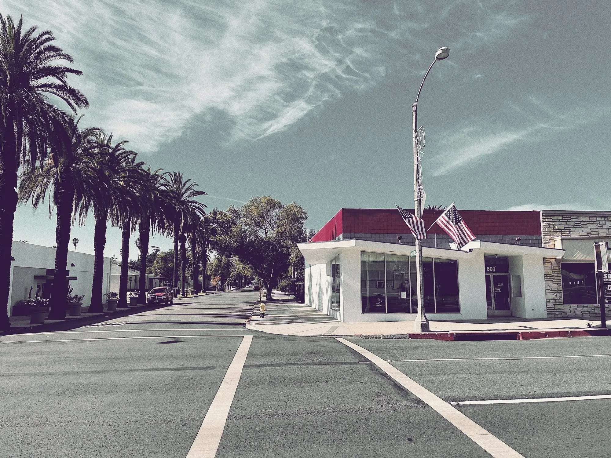 A palm-lined street corner with a small shop and parking in California.