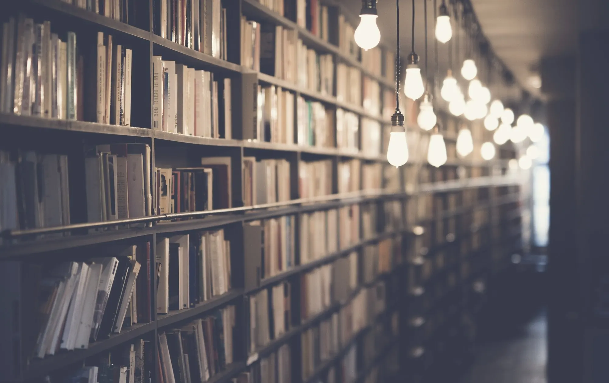 Long wooden shelves filled with books beneath rows of hanging warm light bulbs.