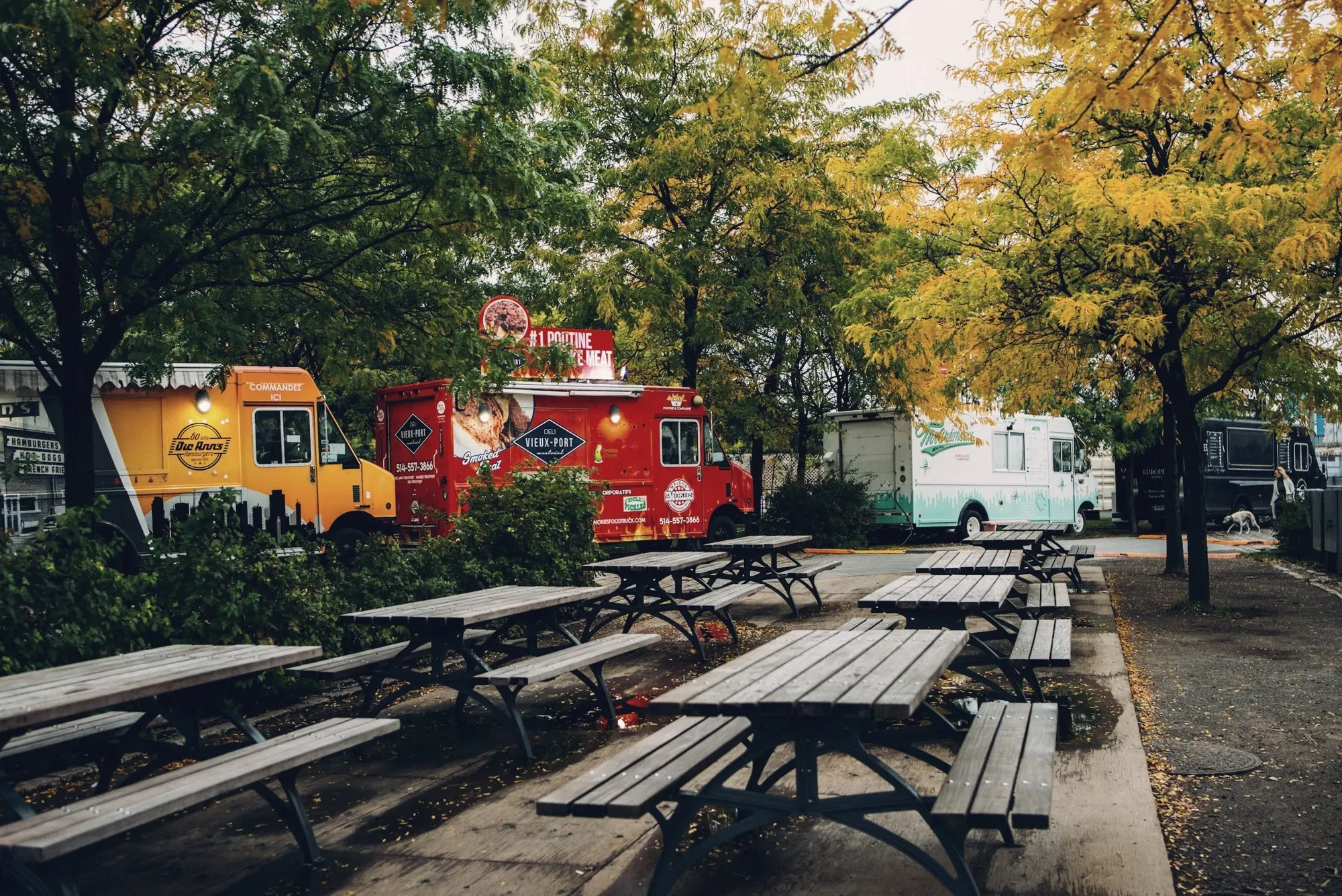 Food trucks parked beside picnic tables in a tree-lined lot.