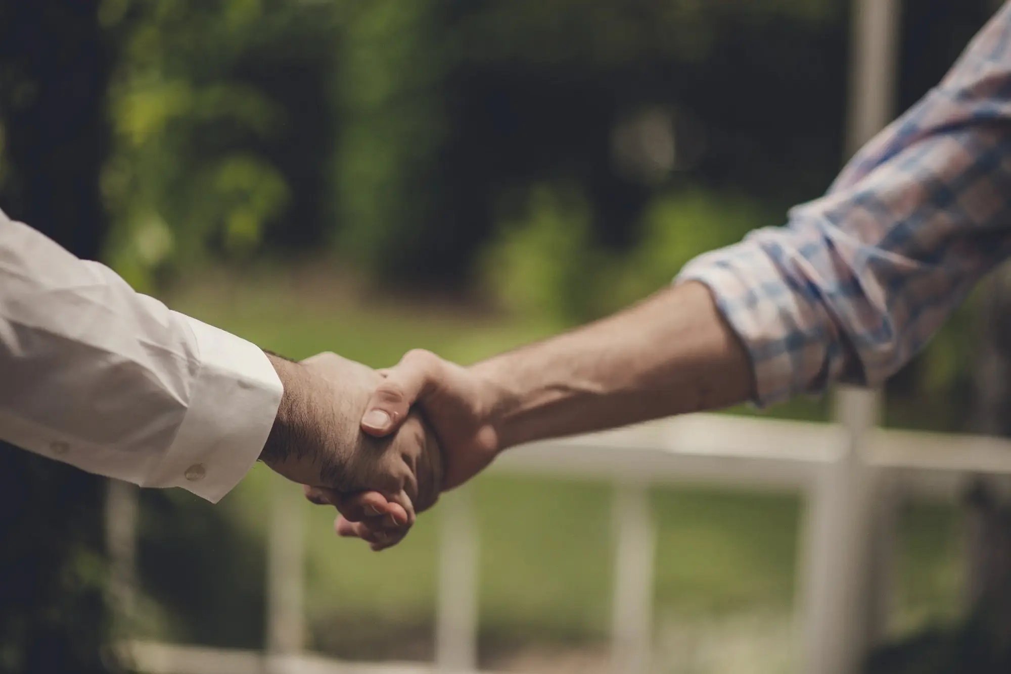 Two people shaking hands outdoors in warm afternoon light.