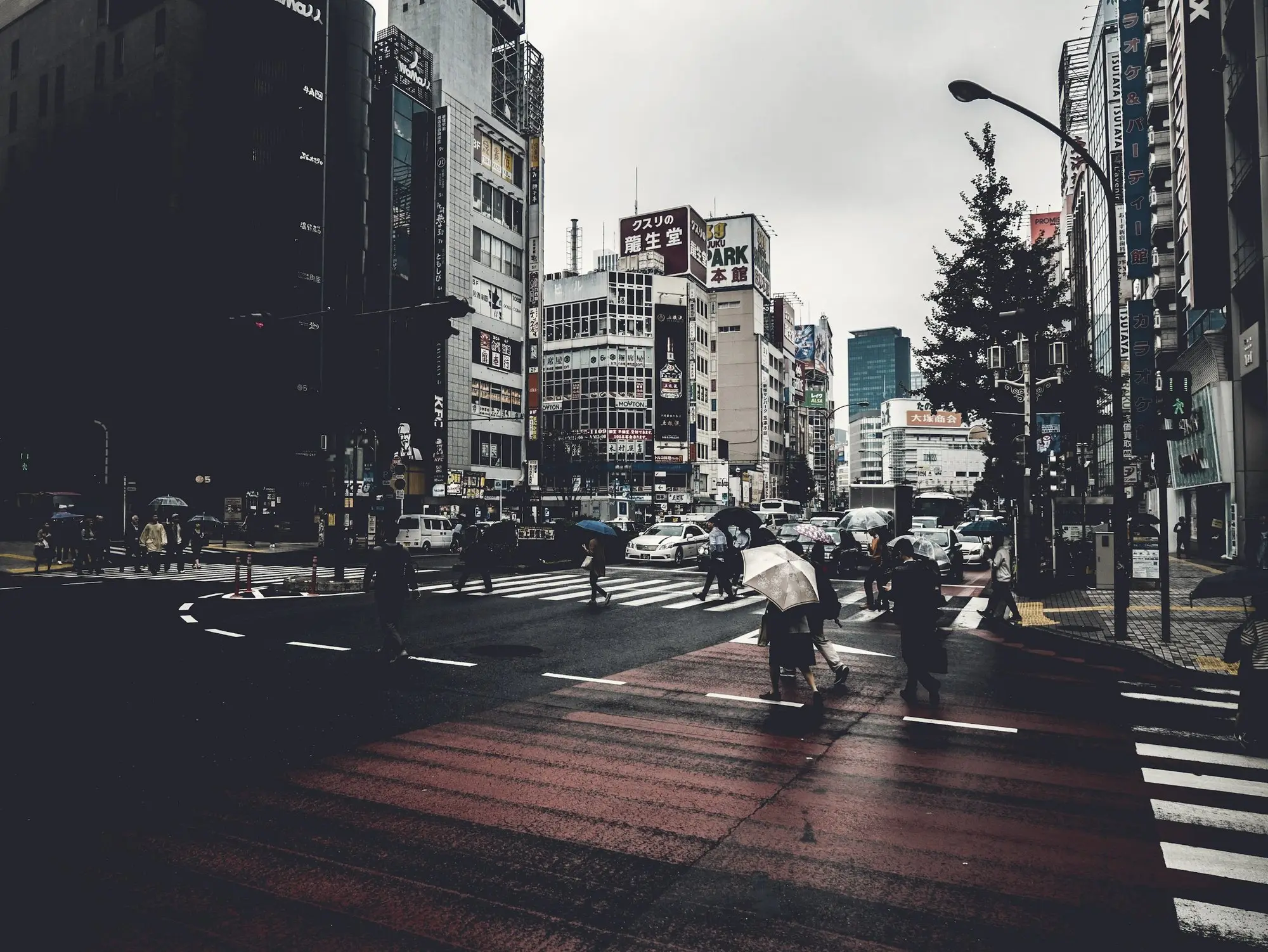 A city crosswalk at dusk with pedestrians under umbrellas and tall buildings.