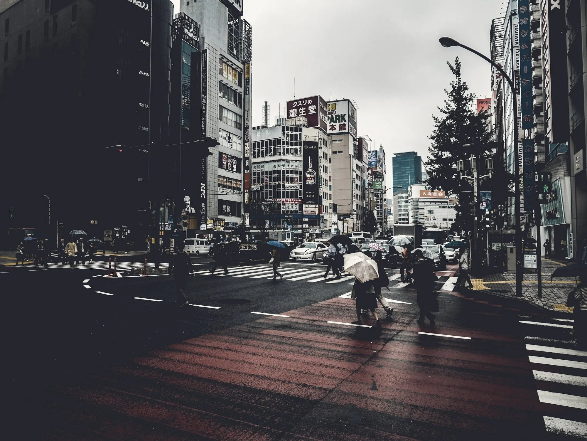 A city crosswalk at dusk with pedestrians under umbrellas and tall buildings.
