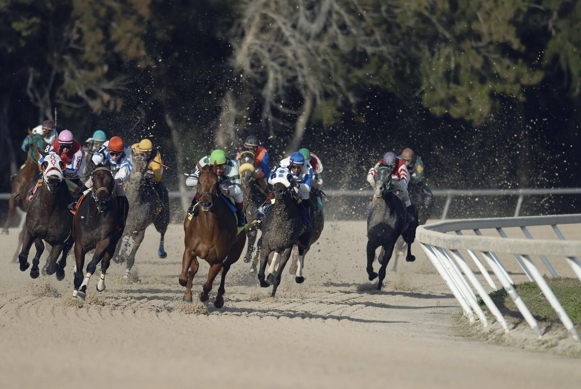 Racehorses and jockeys round a dirt track turn, kicking up dust.
